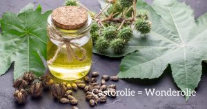 castor olie is een wonderolie. informatie over de vele toepassingen