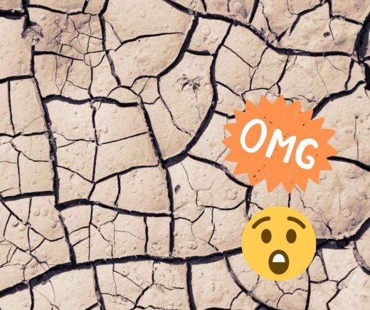 blog droge huid na de zomer
