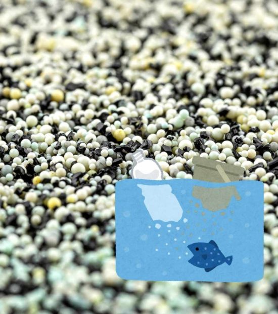 microbeads in cosmetics